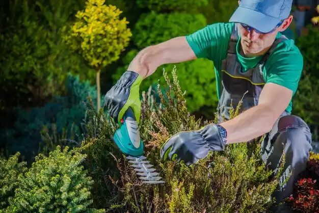 landscaping services Briarcliff Manor